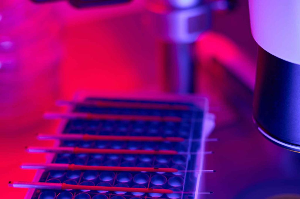 cell based assay