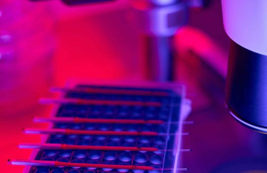 cell based assay2